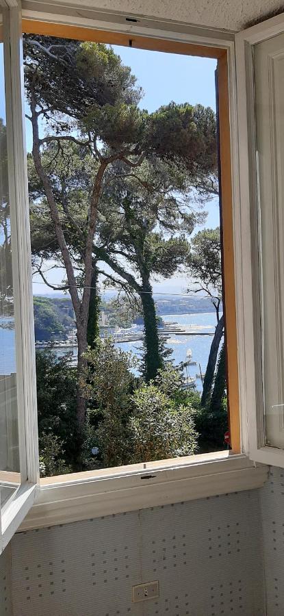 Apartment Violetta Castiglioncello