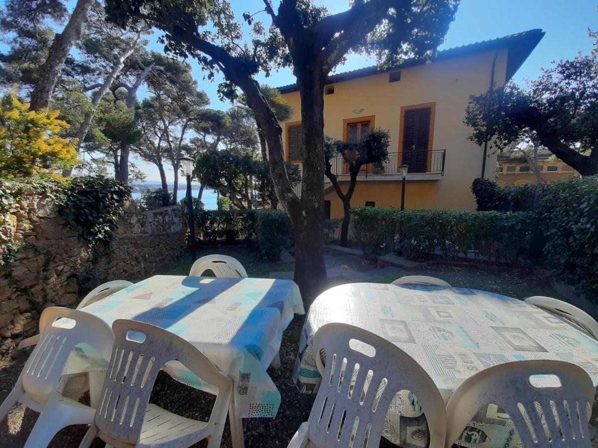 Violetta * Castiglioncello