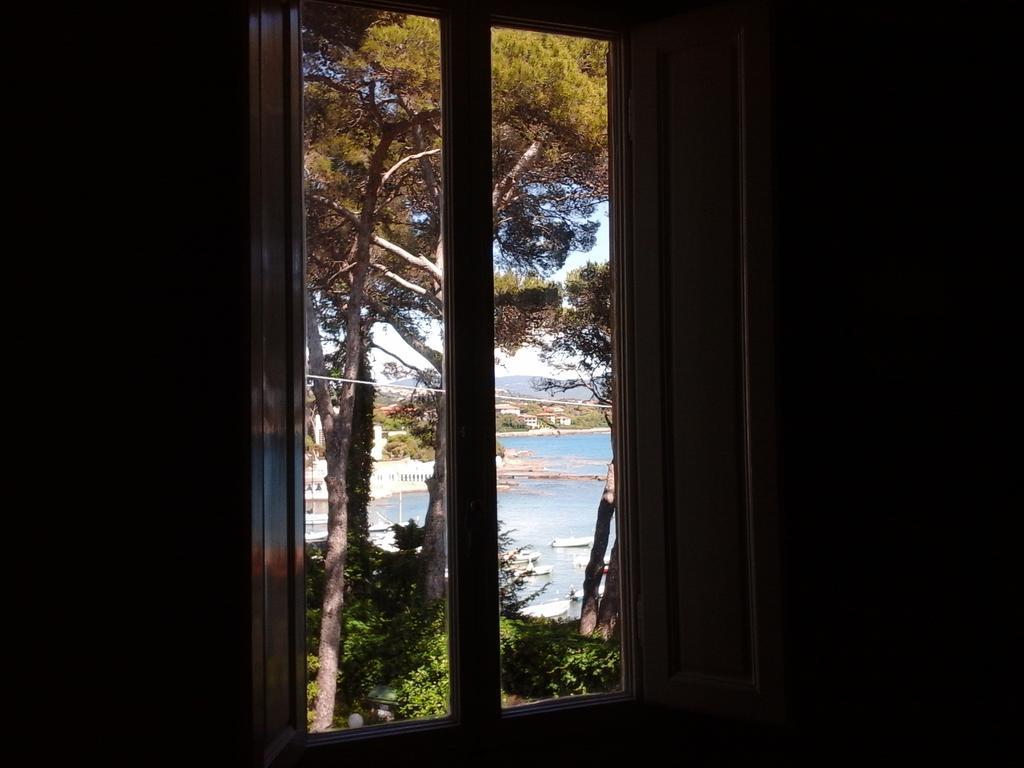 Violetta Apartment Castiglioncello