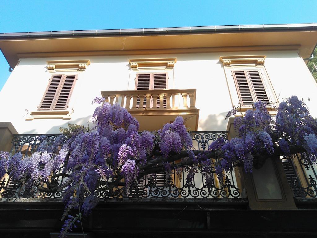 Violetta Apartment *