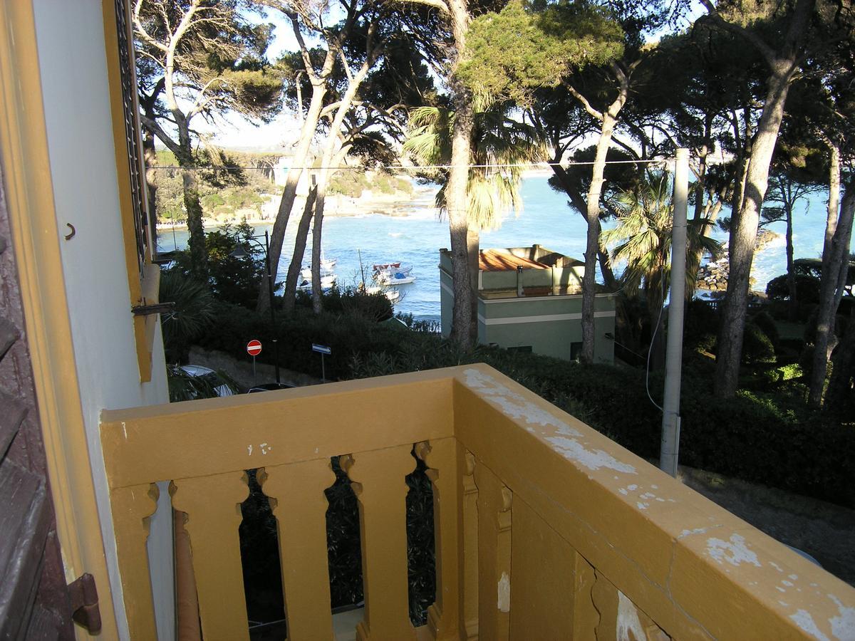 Violetta * Castiglioncello