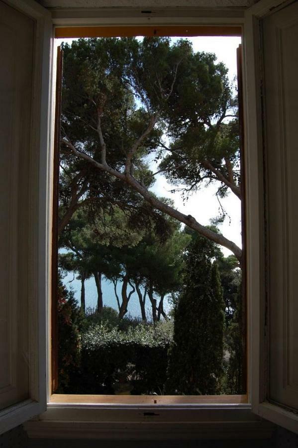 Violetta Apartment *